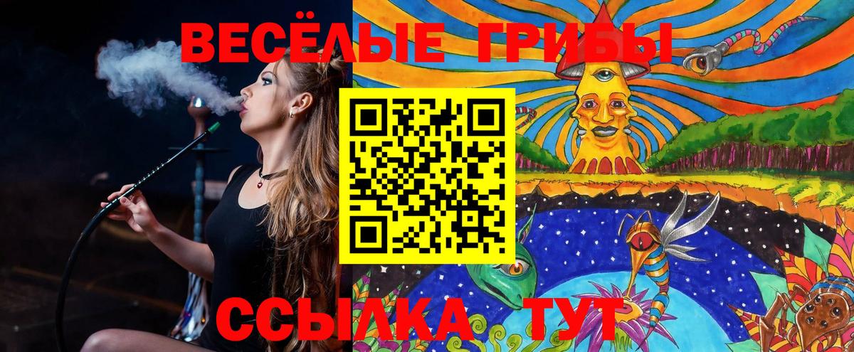 Галлюциногенные грибы MAGIC MUSHROOMS  закладки  Серпухов  Вход с VPN 